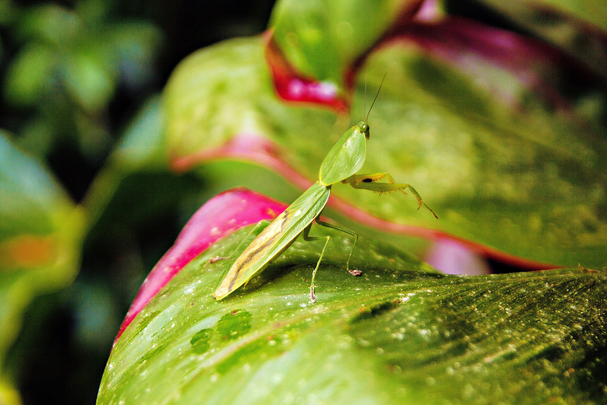 IMG_0133_edited-1_display