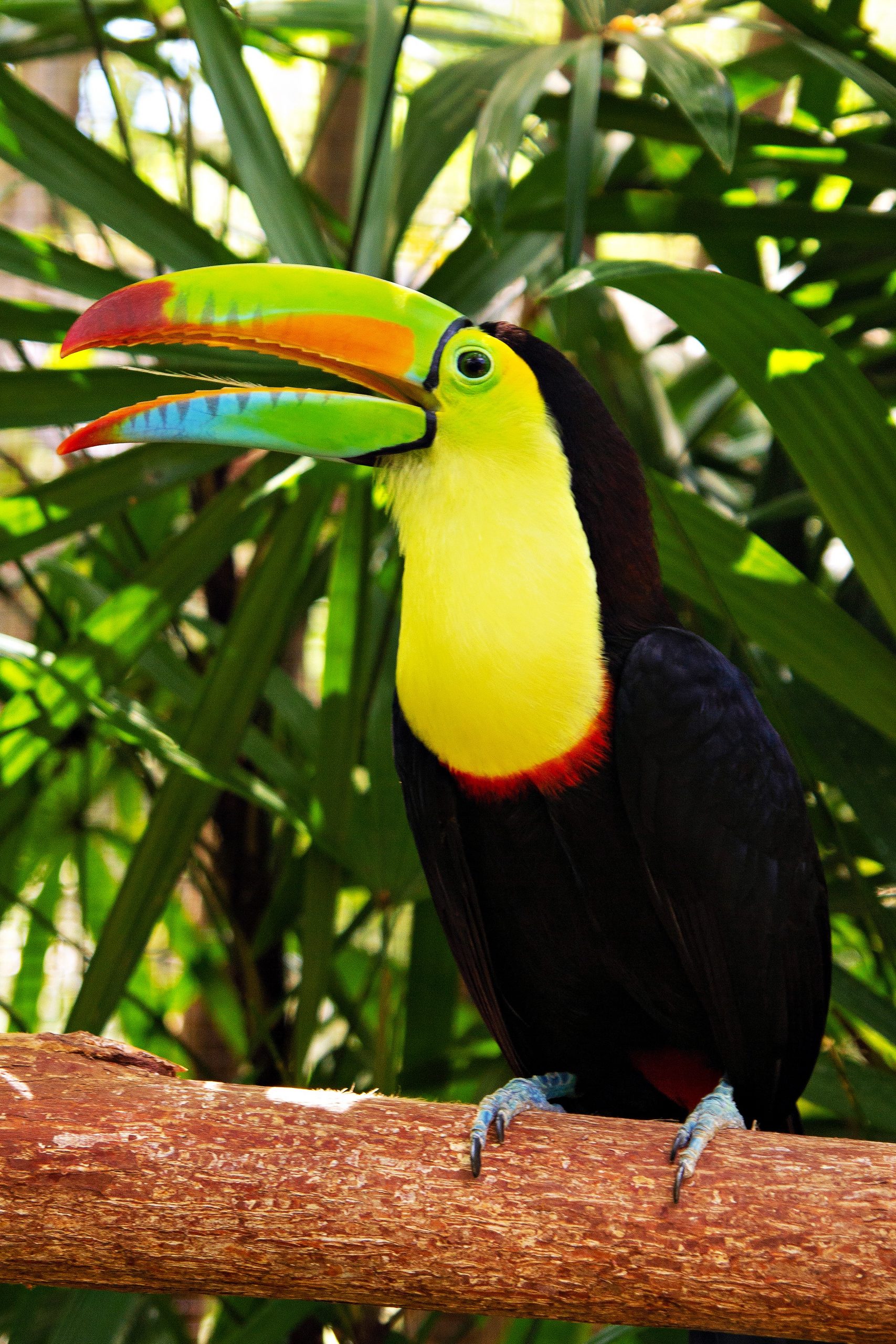 IMG_0227_edited-1_display