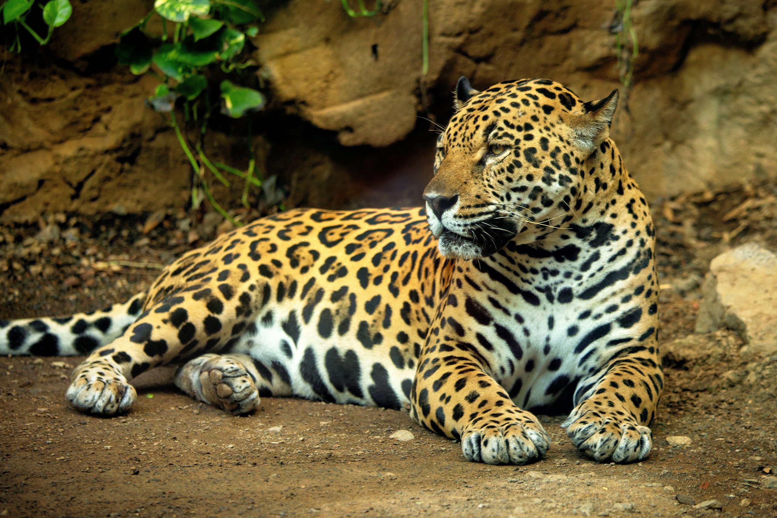 IMG_5757_edited-1_display