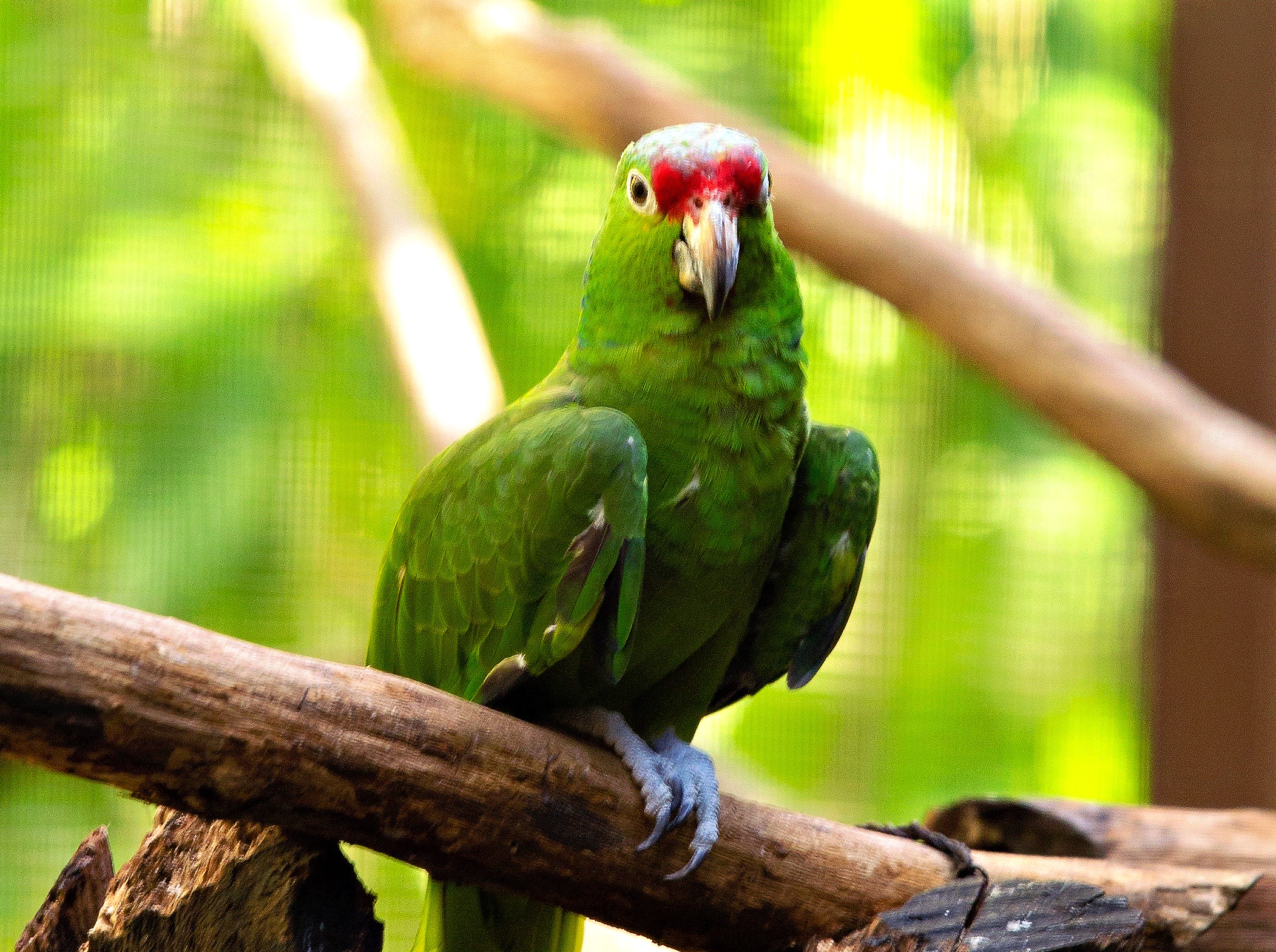 IMG_5853_edited-1_display