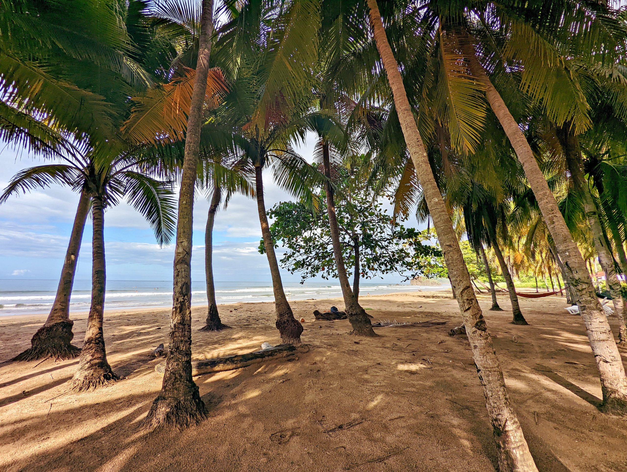 PXL_20221116_140637560_display