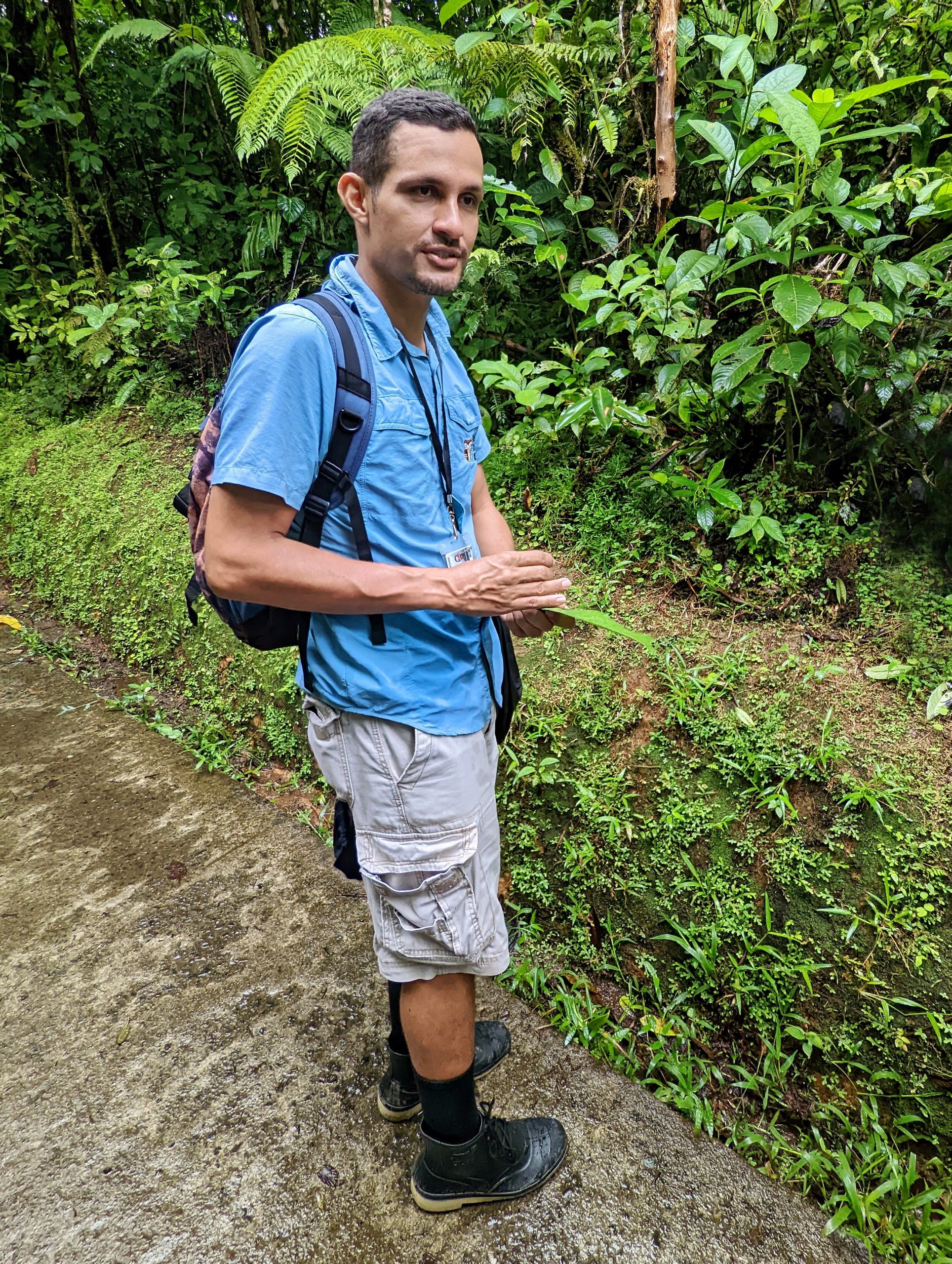 PXL_20221119_171933338_display