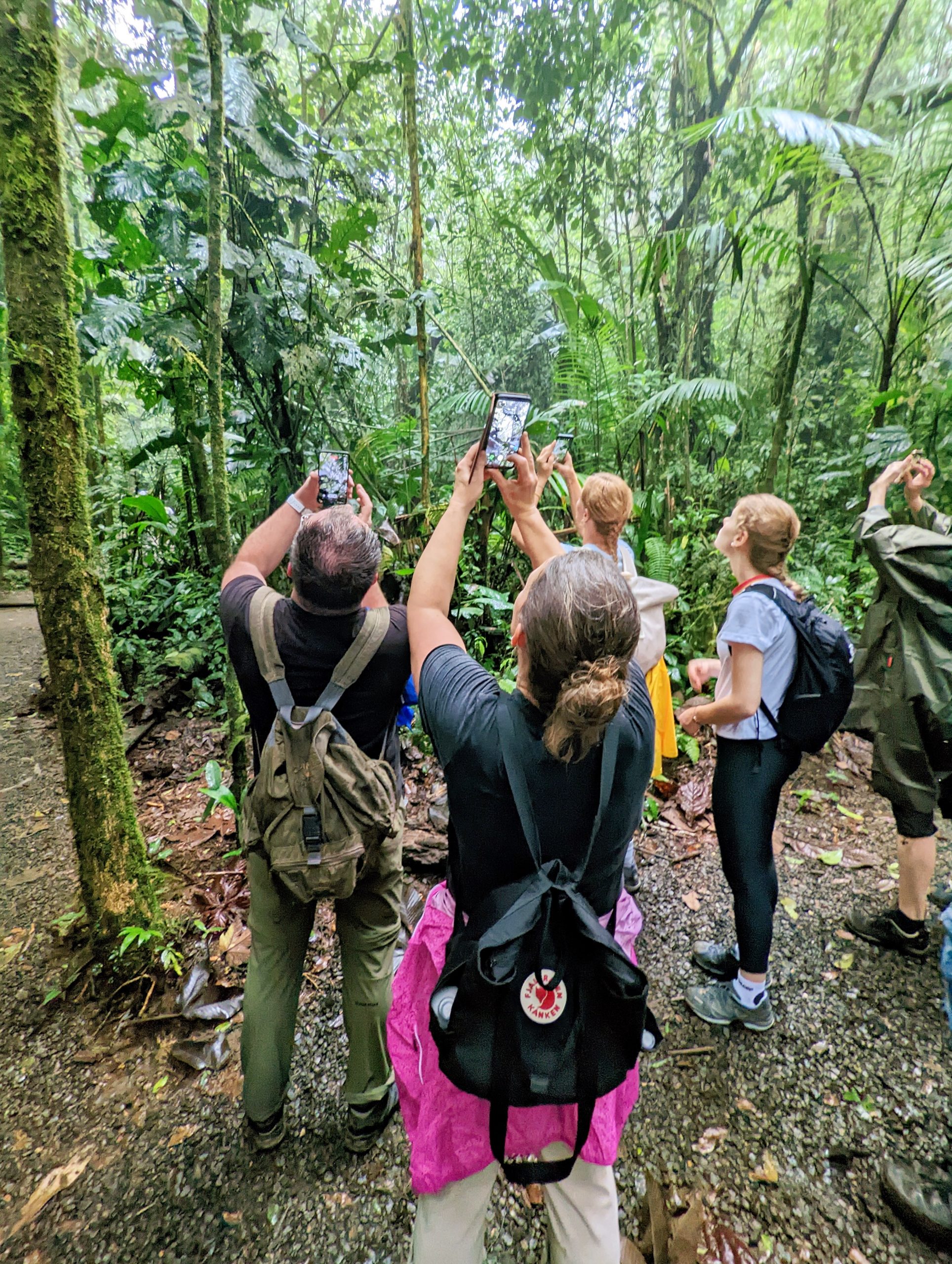 PXL_20221119_180219105_display