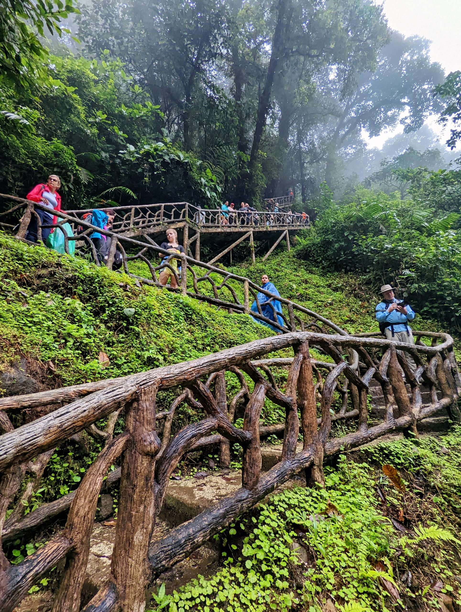 PXL_20221119_182503335_display