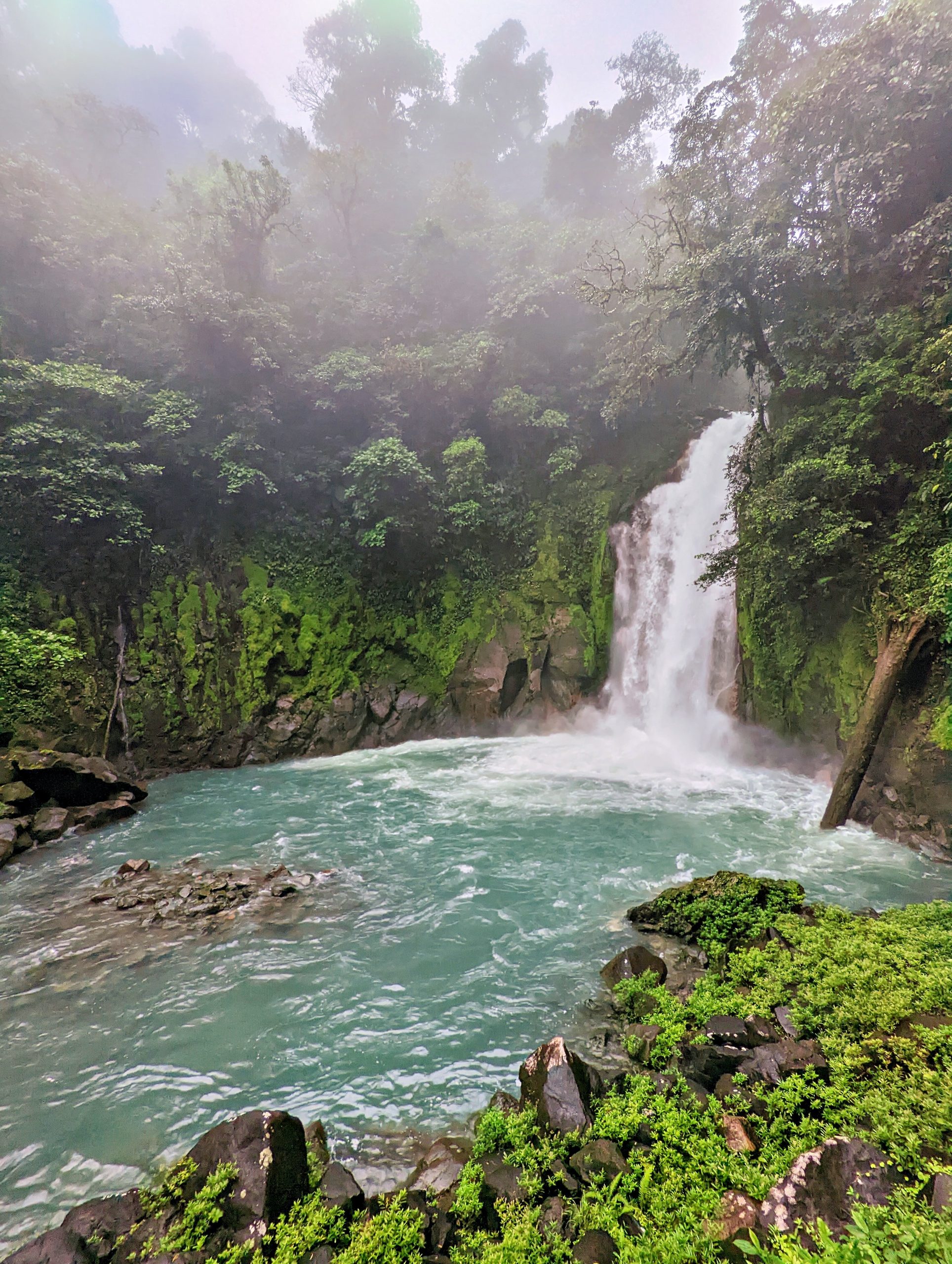 PXL_20221119_182544855_display