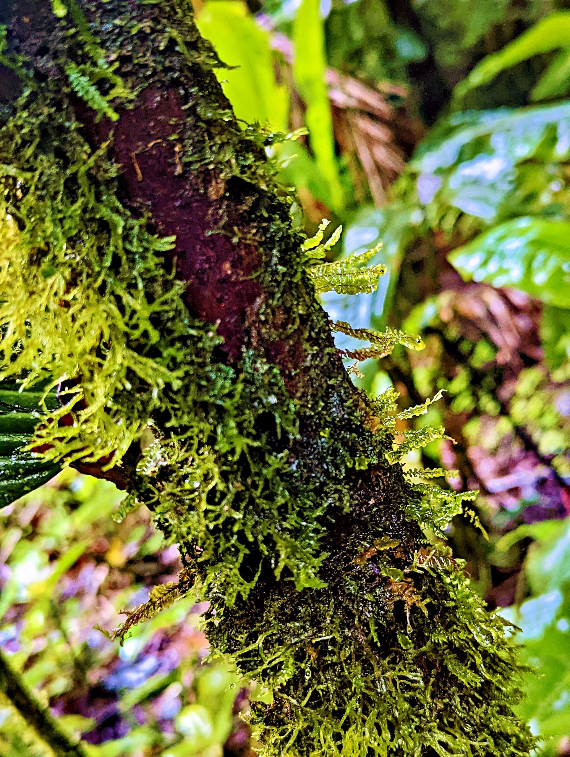 PXL_20221119_185902429_display_display