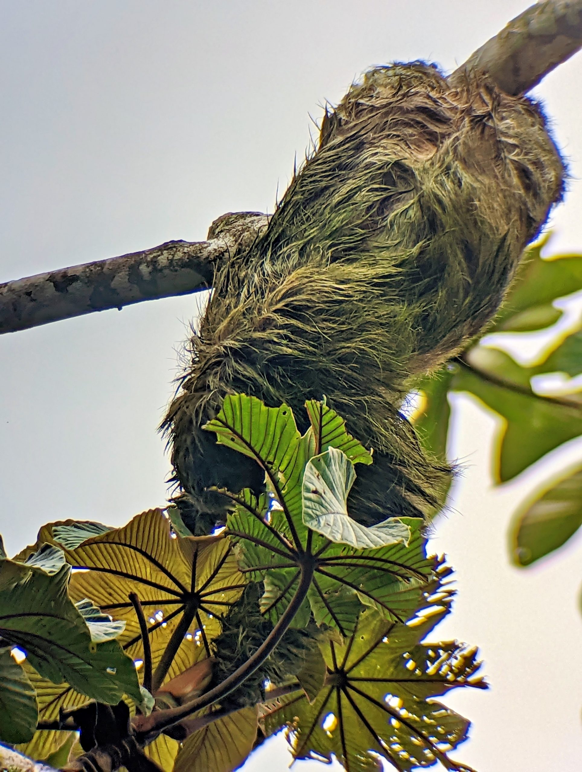 PXL_20221119_211752141_display