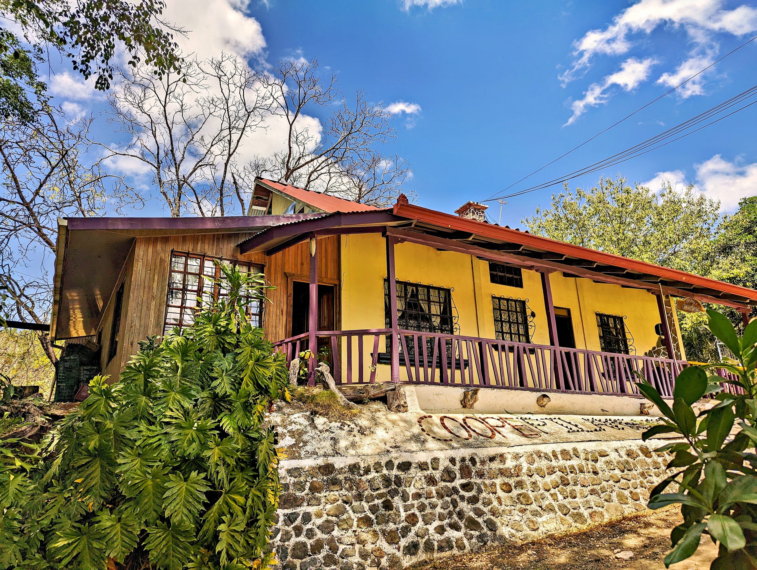 PXL_20230224_174550819_edited-1_display