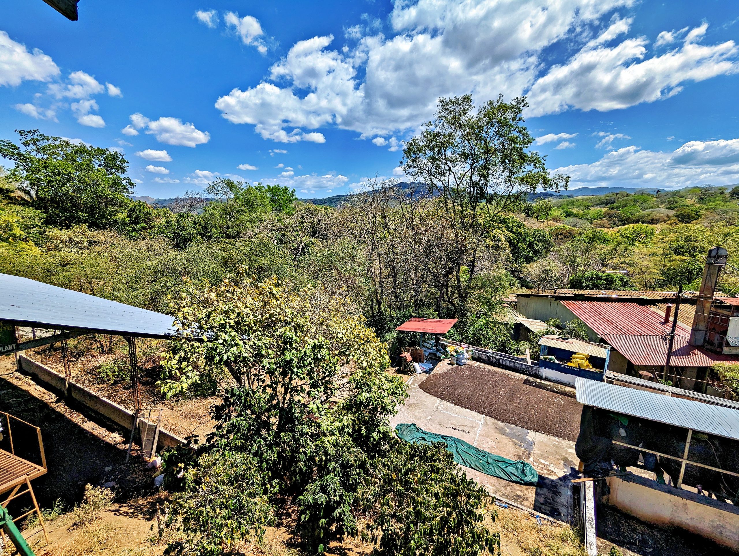 PXL_20230224_183508334_edited-1_display