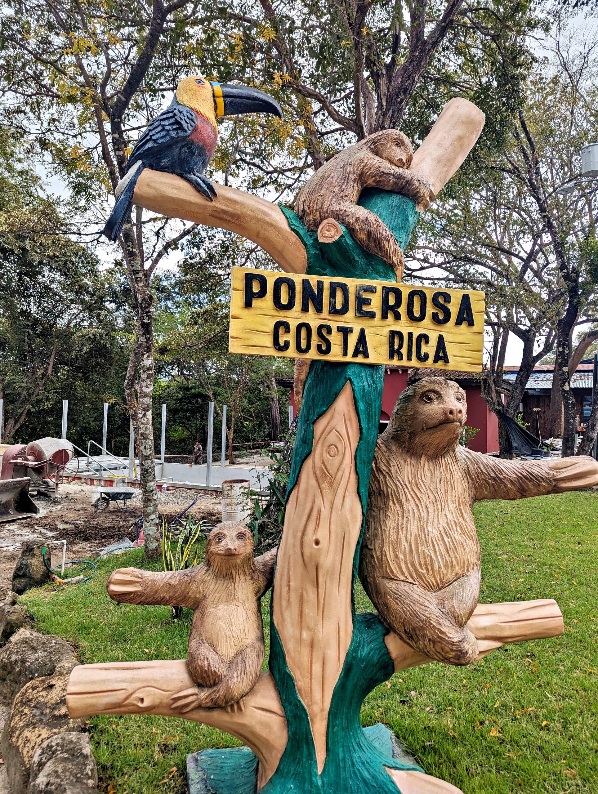 PXL_20250116_190410690_display