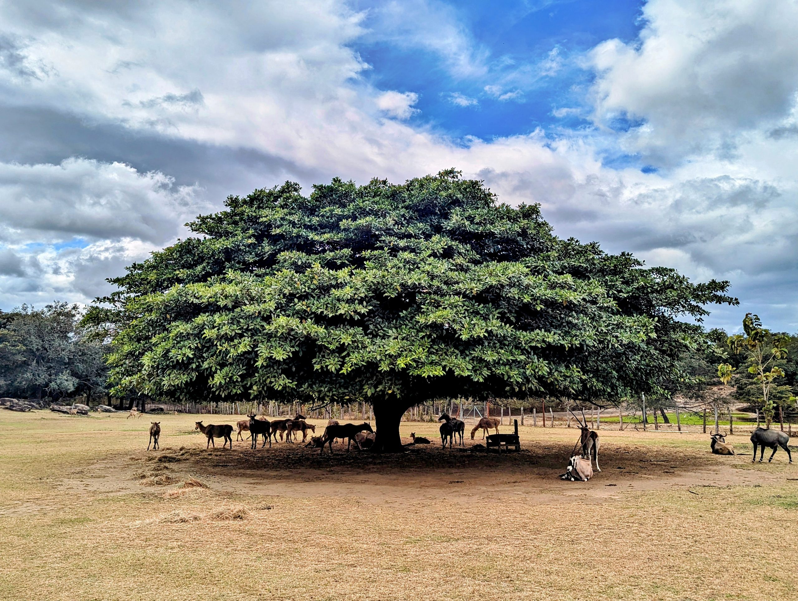 PXL_20250116_191203451~2_display