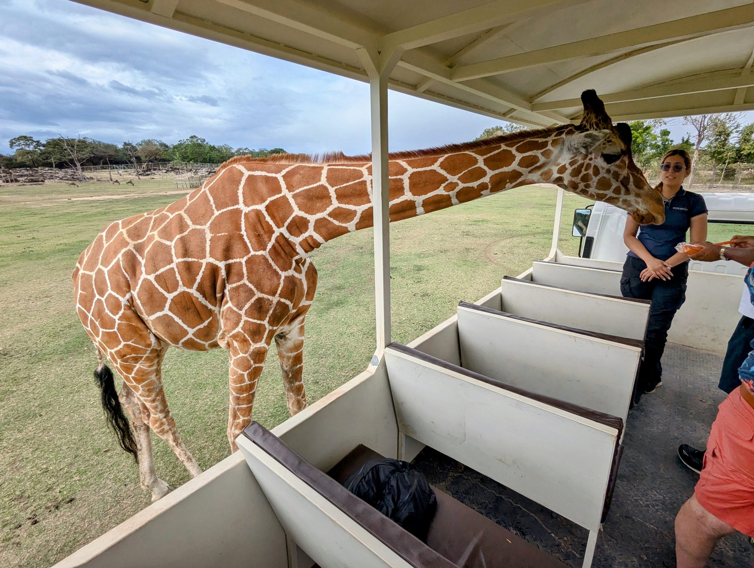 PXL_20250116_192352686~2_display