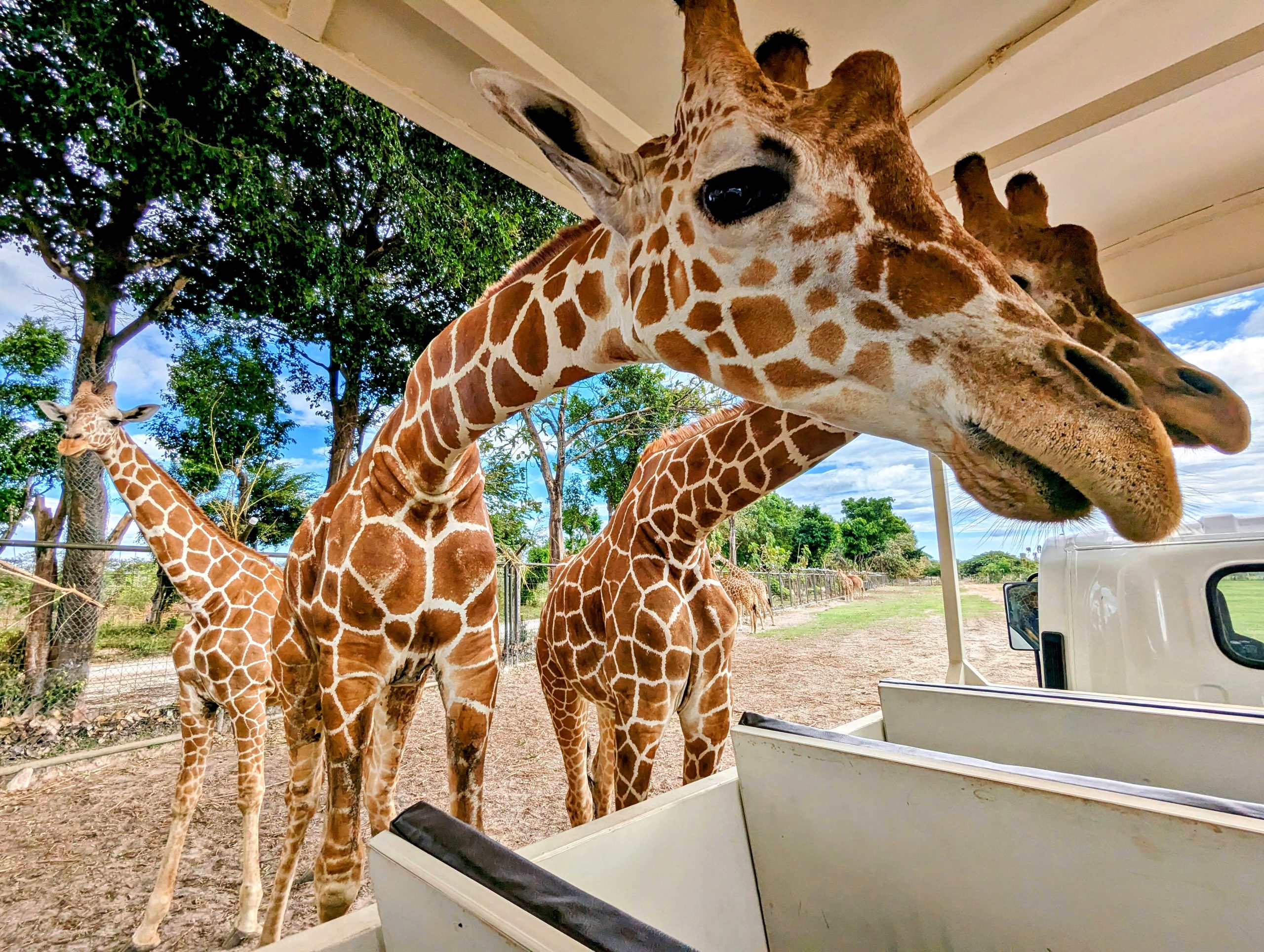 PXL_20250116_192933826~2_display