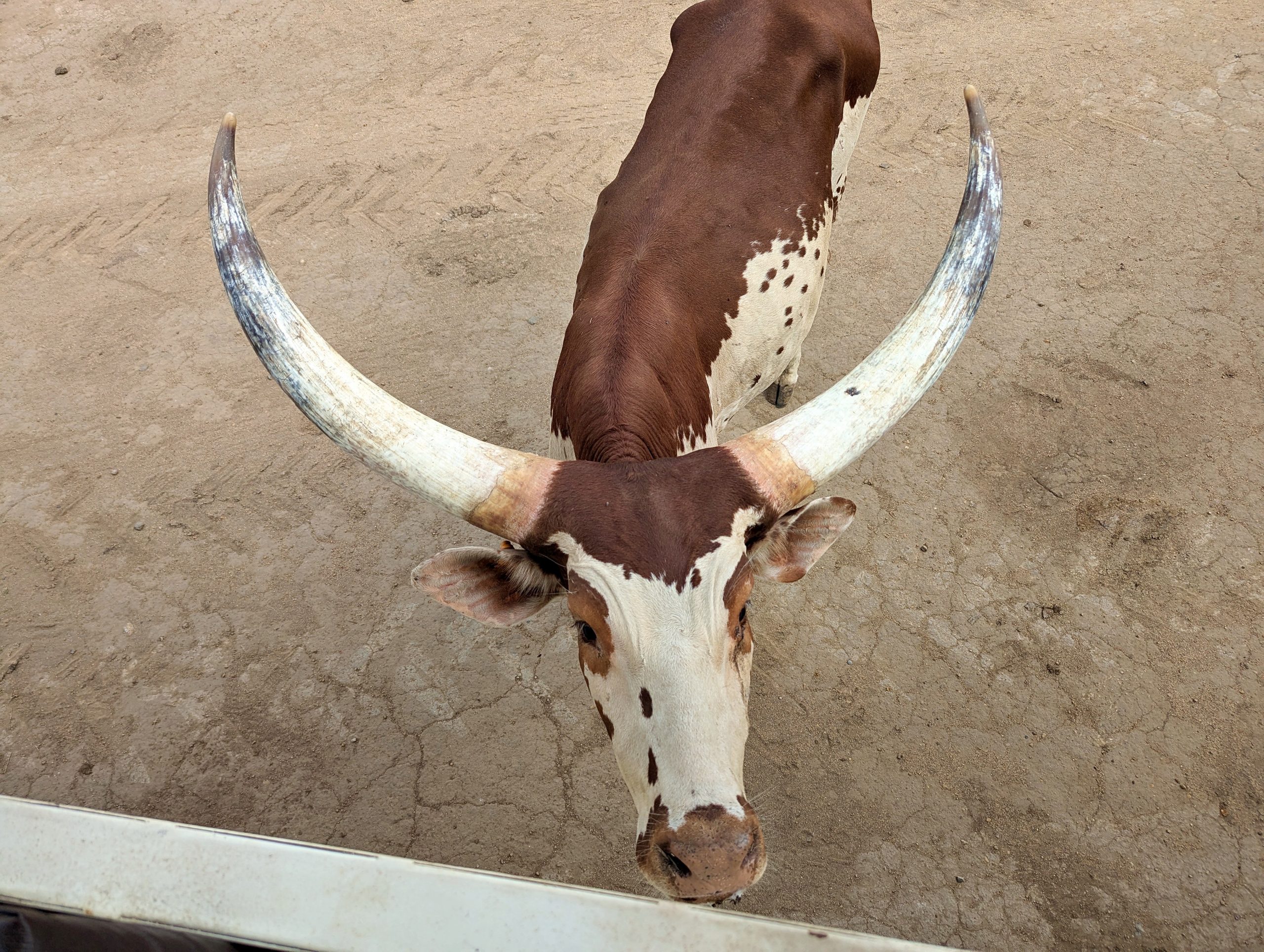 PXL_20250116_195947269_display