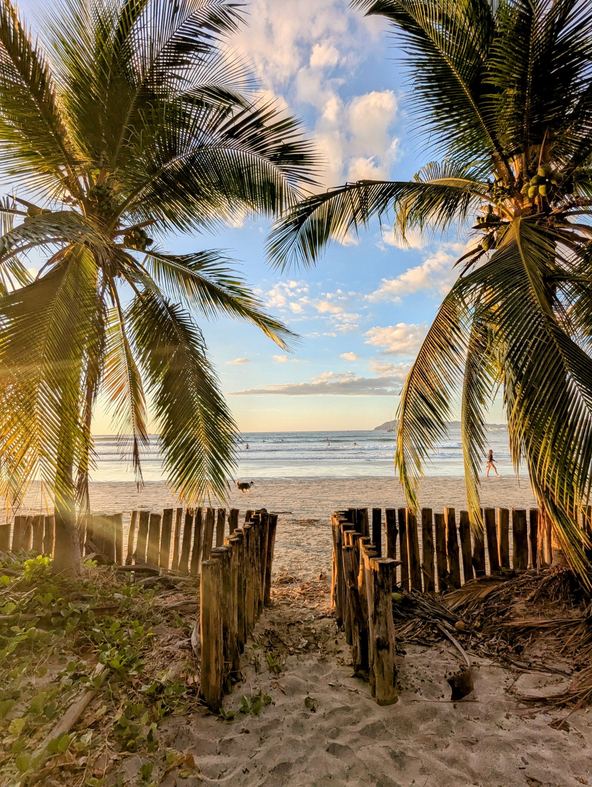 PXL_20250305_233840068~2