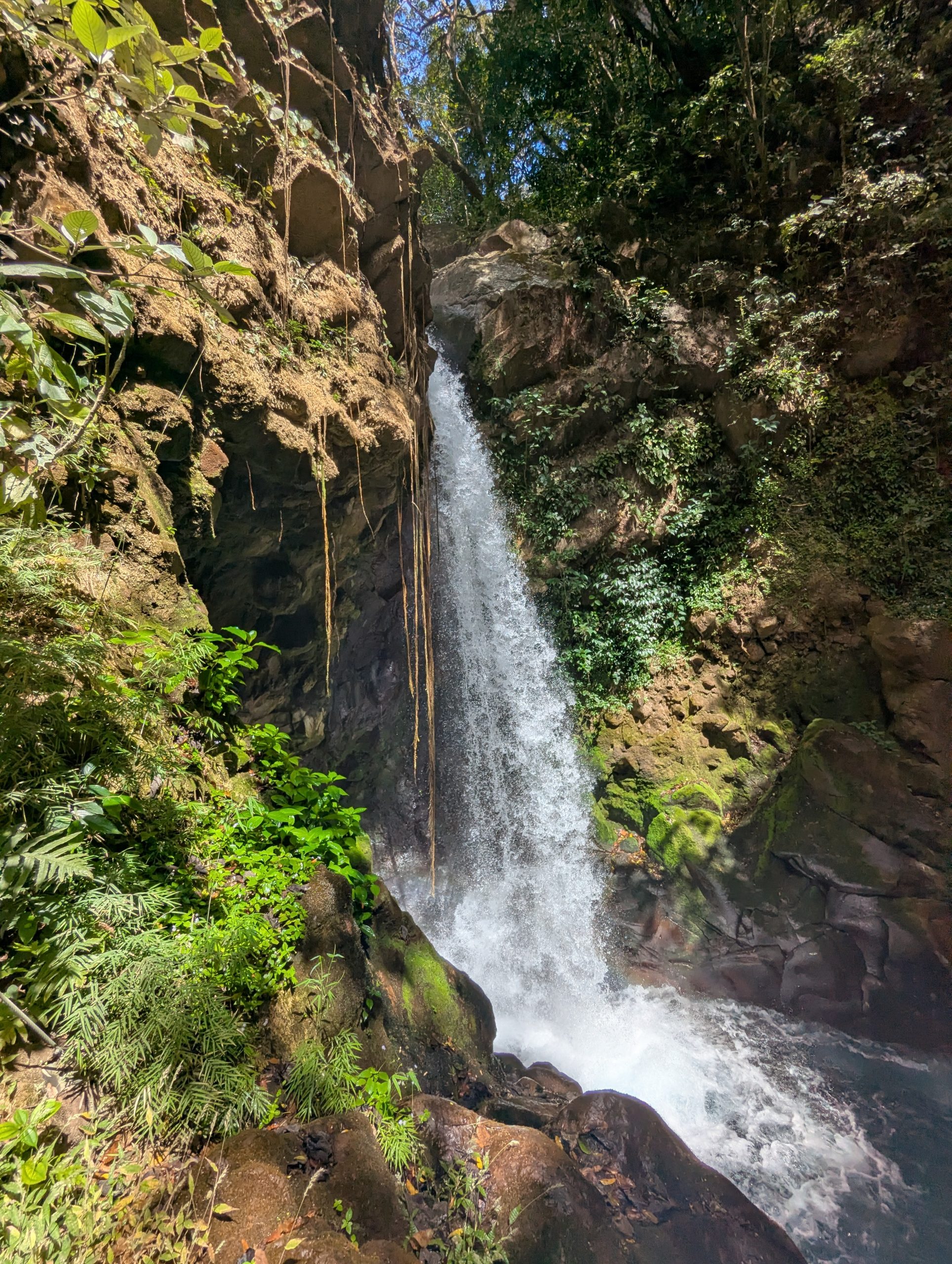 PXL_20260113_181526241(1)