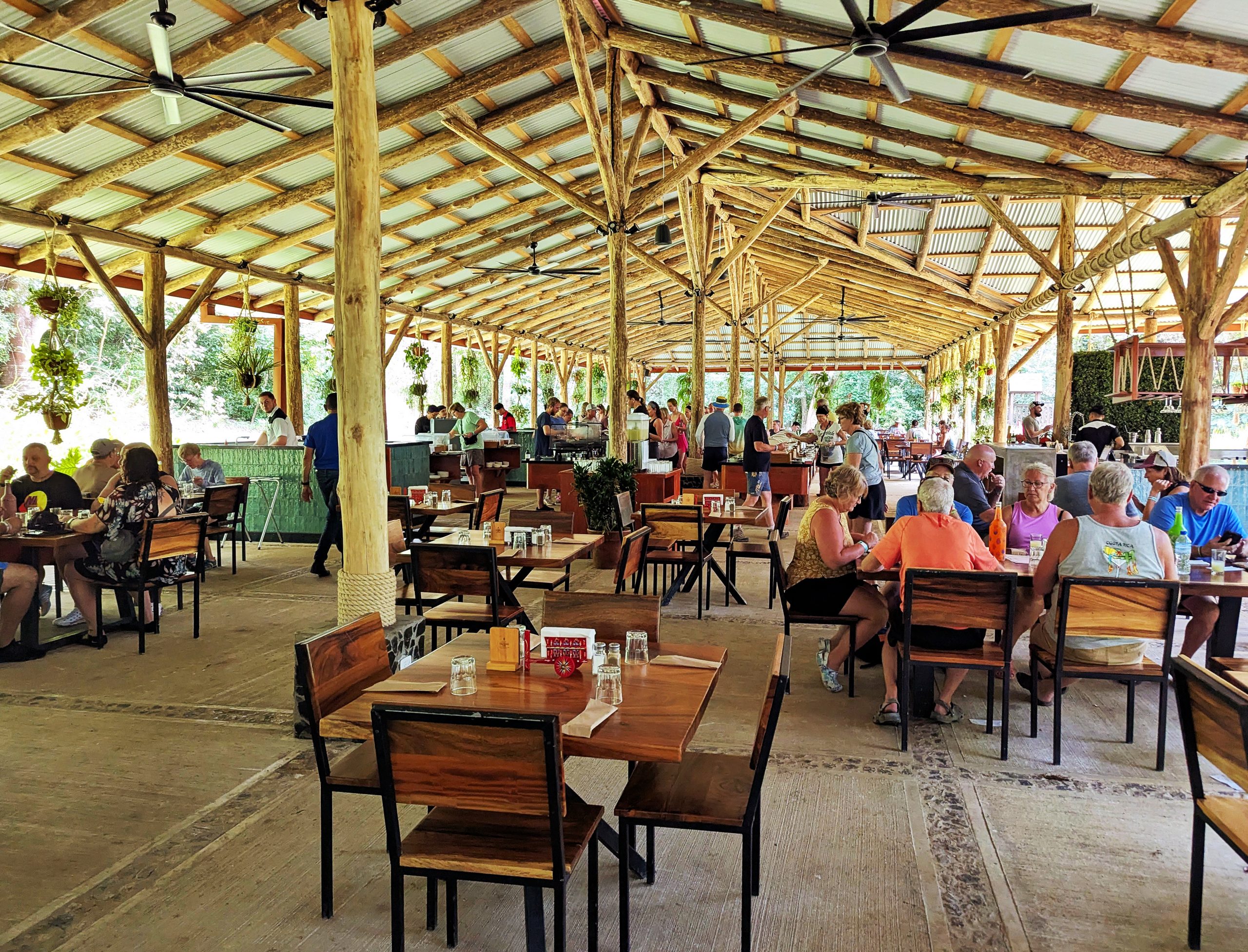 PXL_20260113_190714328.MP_display