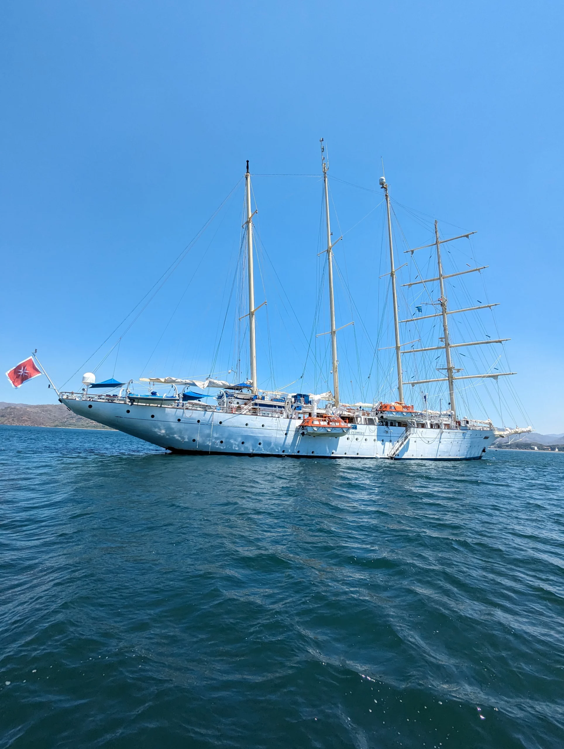 Flamingo catamaran cruise