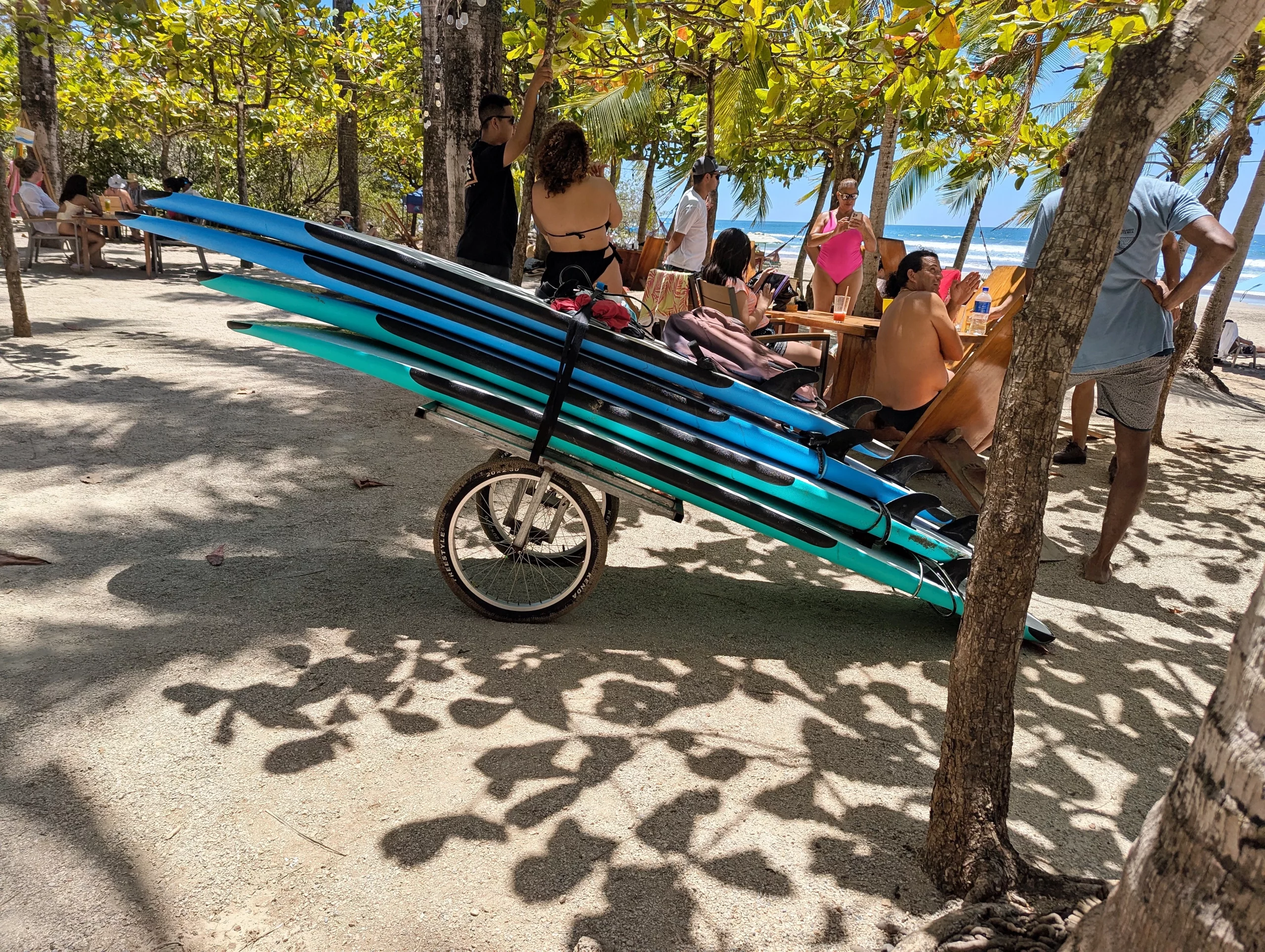 Playa Avellanas transfer