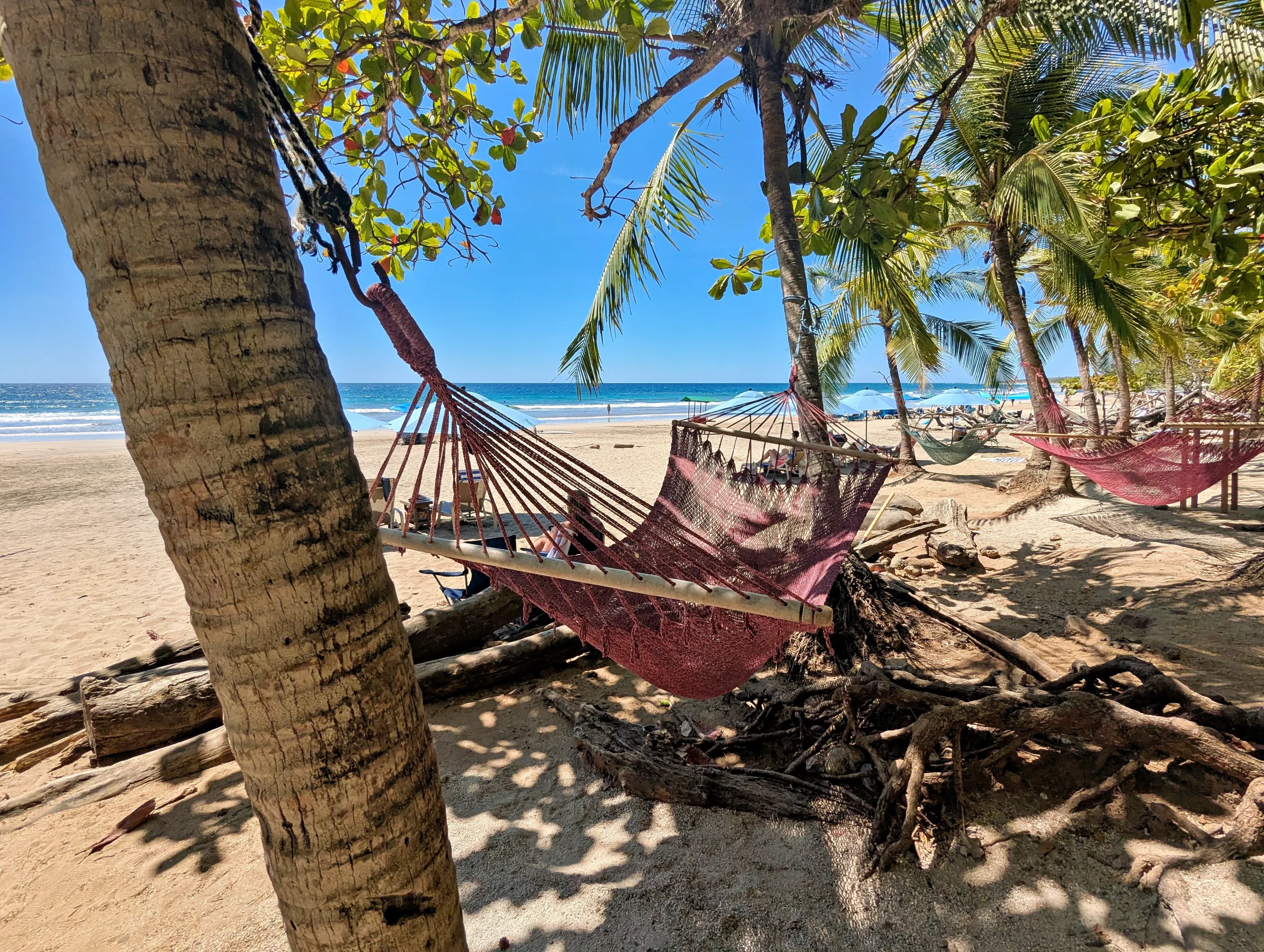 Playa Avellanas transfer