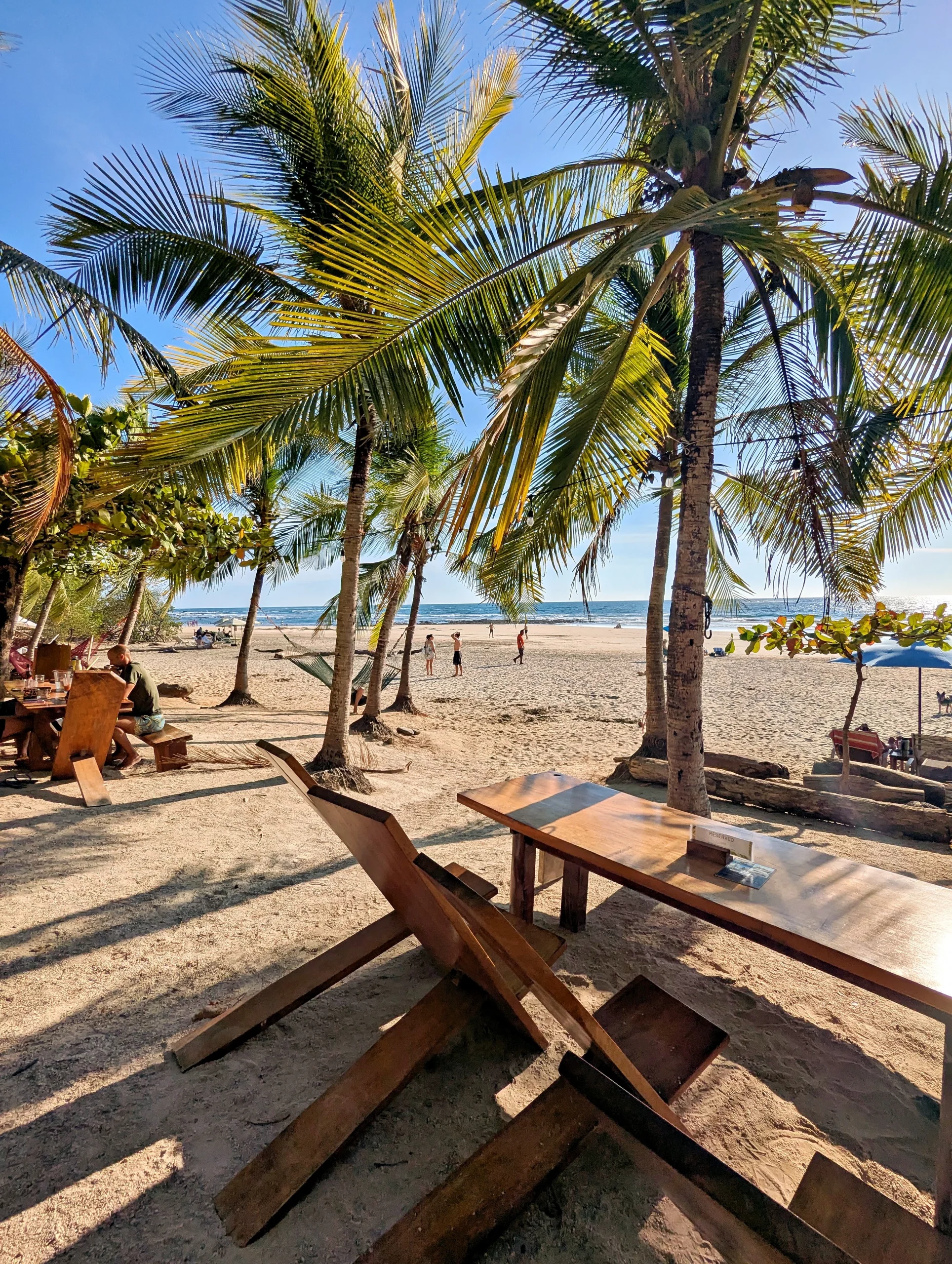 Playa Avellanas transfer